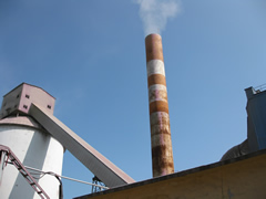 ���ώ���� 